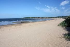 Gullane Bents, Gullane